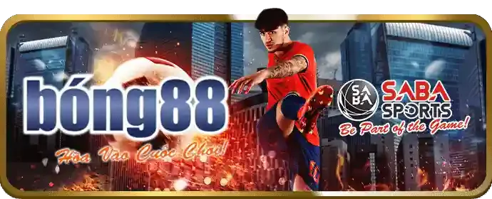Hoàn trả tiền cược hàng tuần 88cbl win